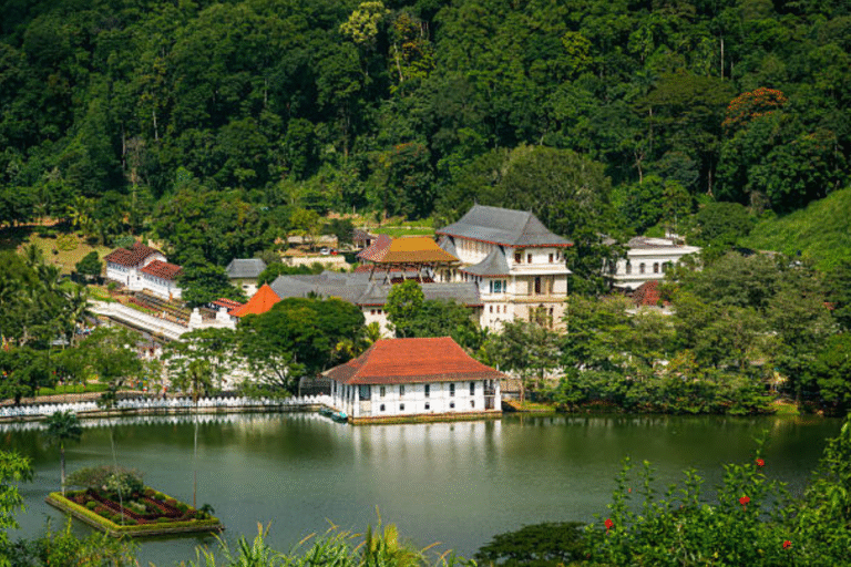 Sri Lanka Shines on Forbes: The Island’s Tourism Renaissance